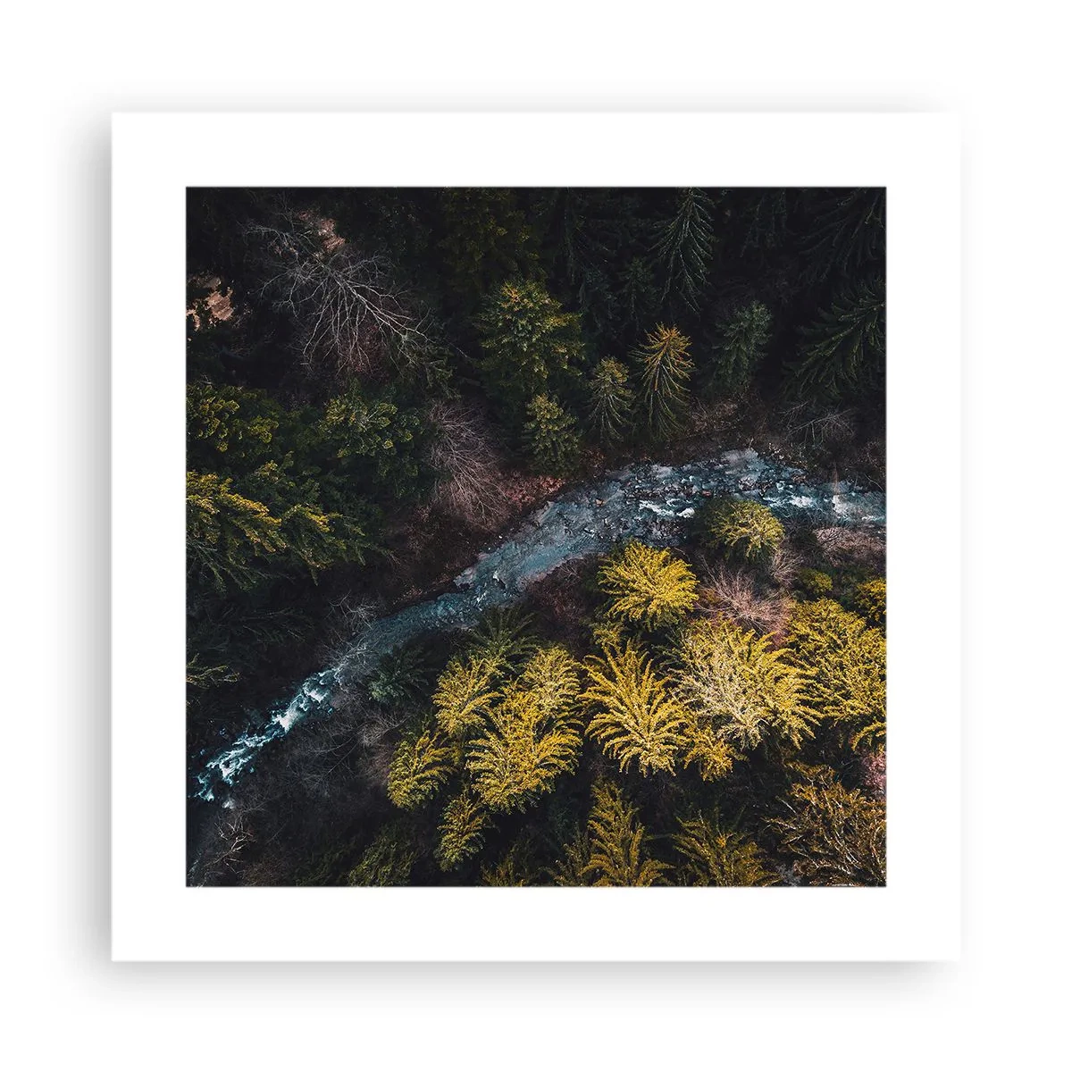 Poster - Fast and Faster - 40x40 cm