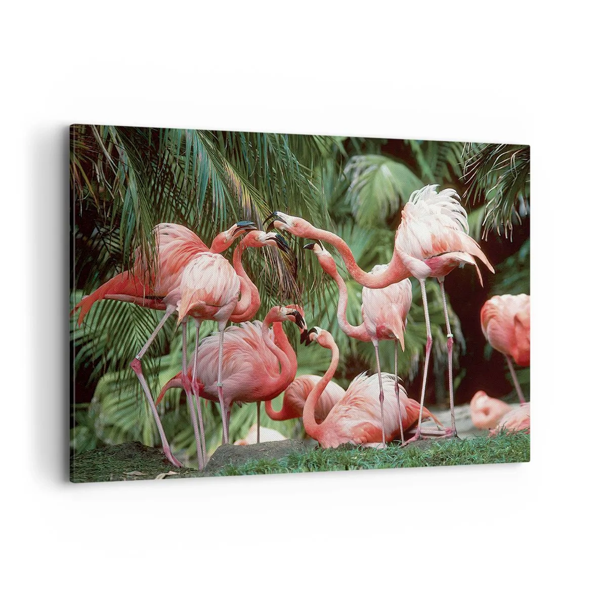 Canvas picture - Afternoon Gossip - 120x80 cm
