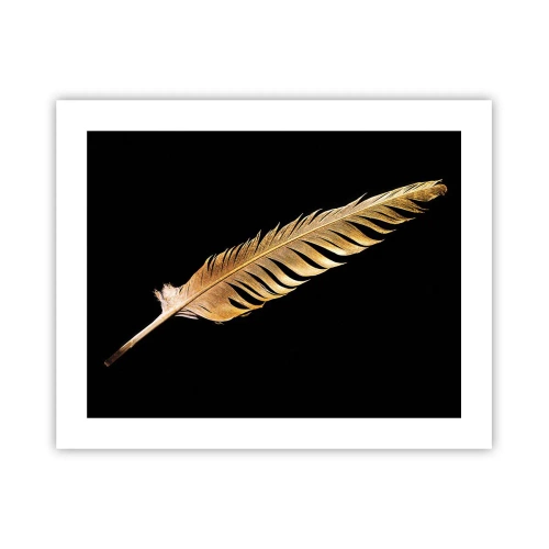 Poster - High-Class Feather - 50x40 cm