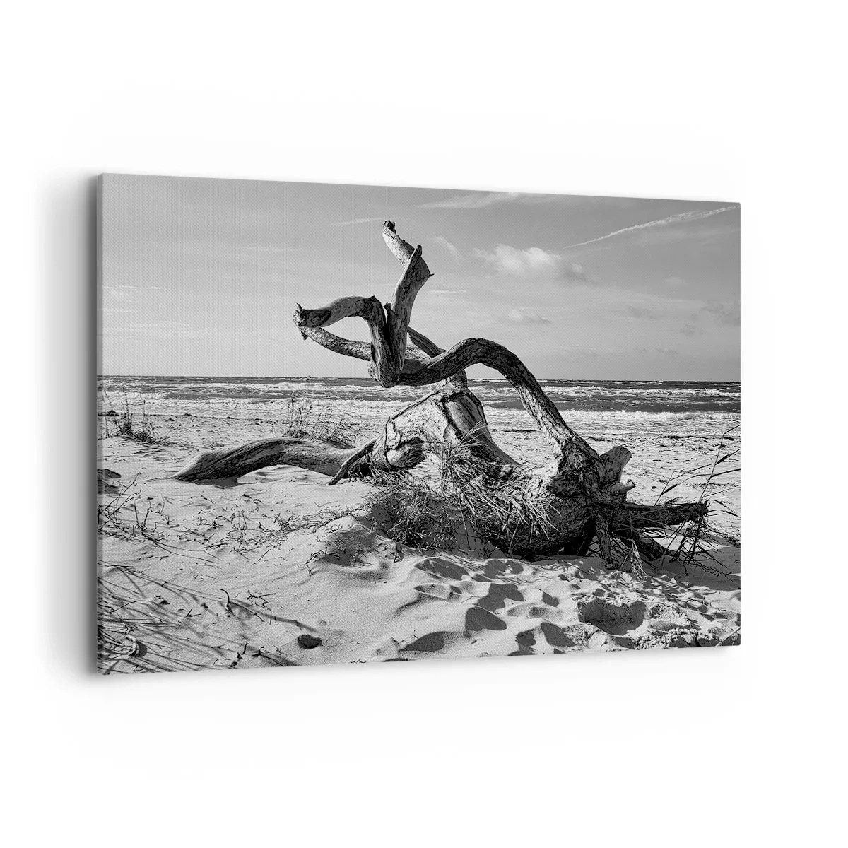 Canvas picture - Seaside Sculpture - 100x70 cm