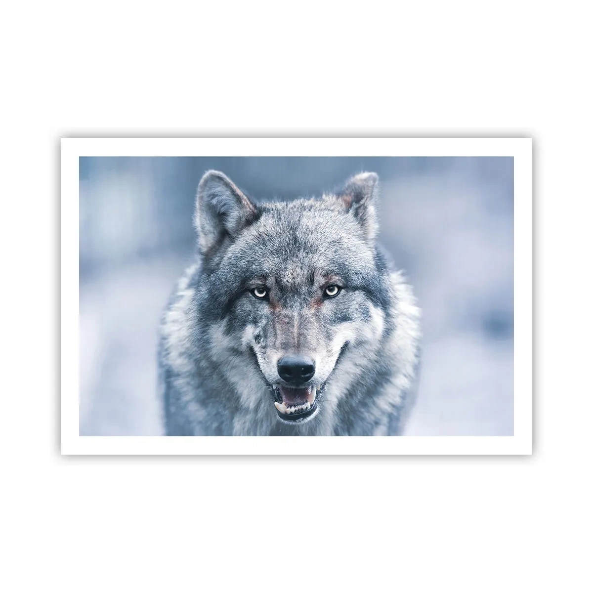 Poster - Will You Take Up the Challenge? - 91x61 cm