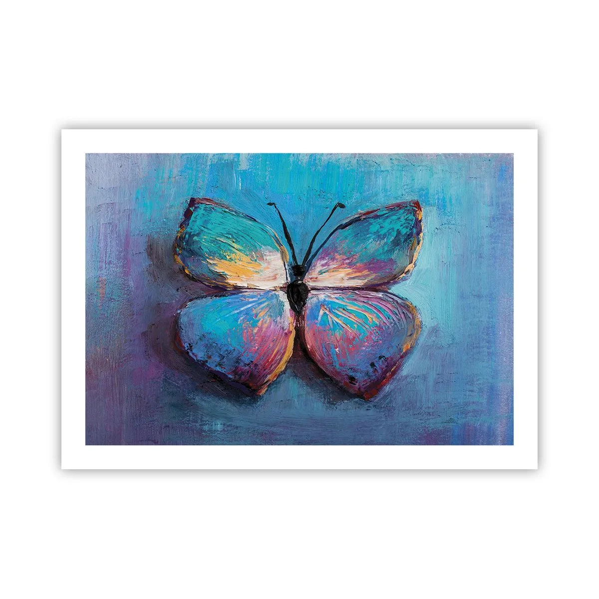 Poster - In Full Splendour - 70x50 cm