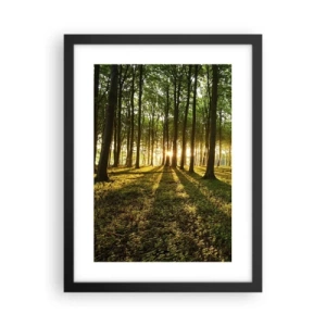 Poster in black frame - Photography of All Springs - 30x40 cm