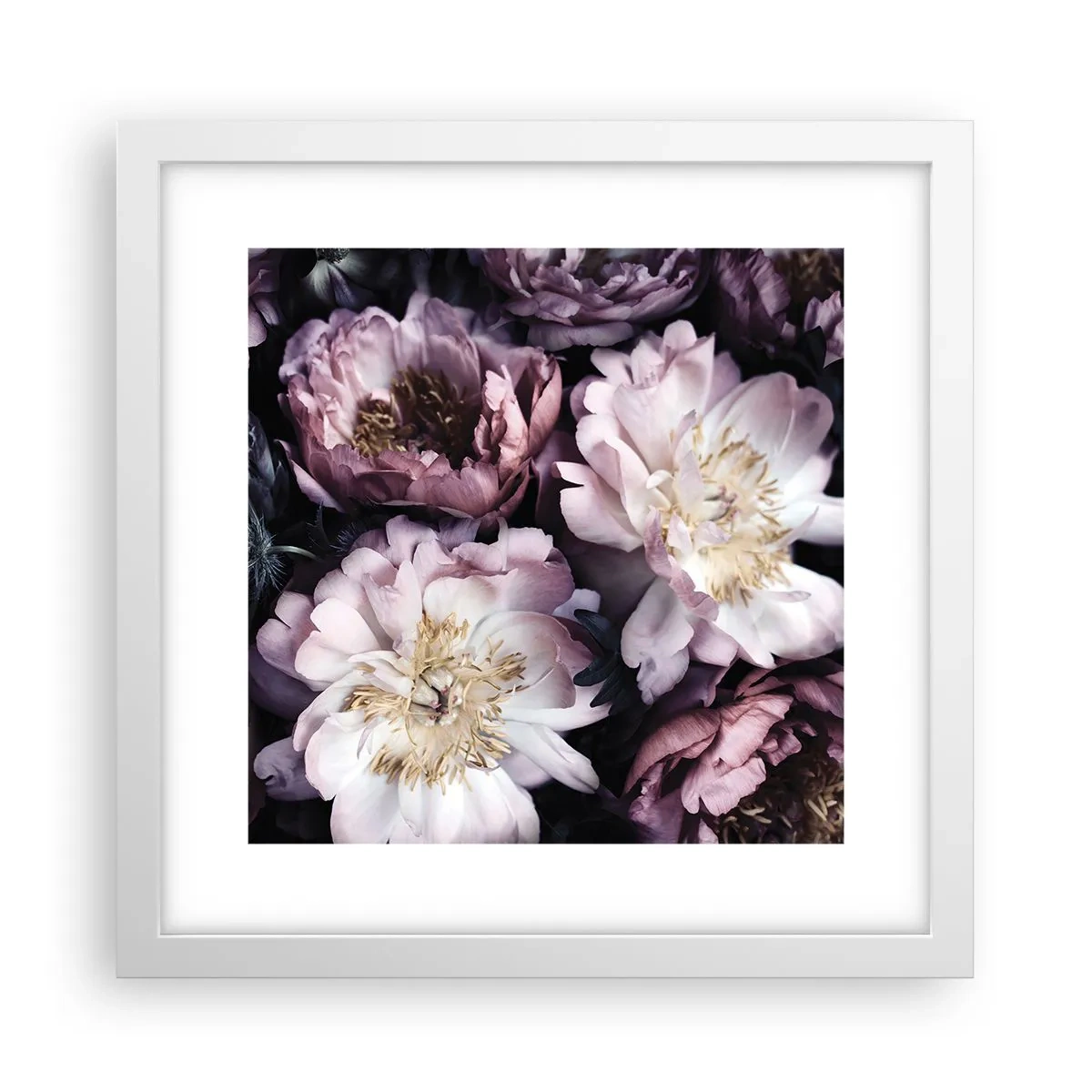 Poster in white frmae - Old Style Bouquet - 30x30 cm