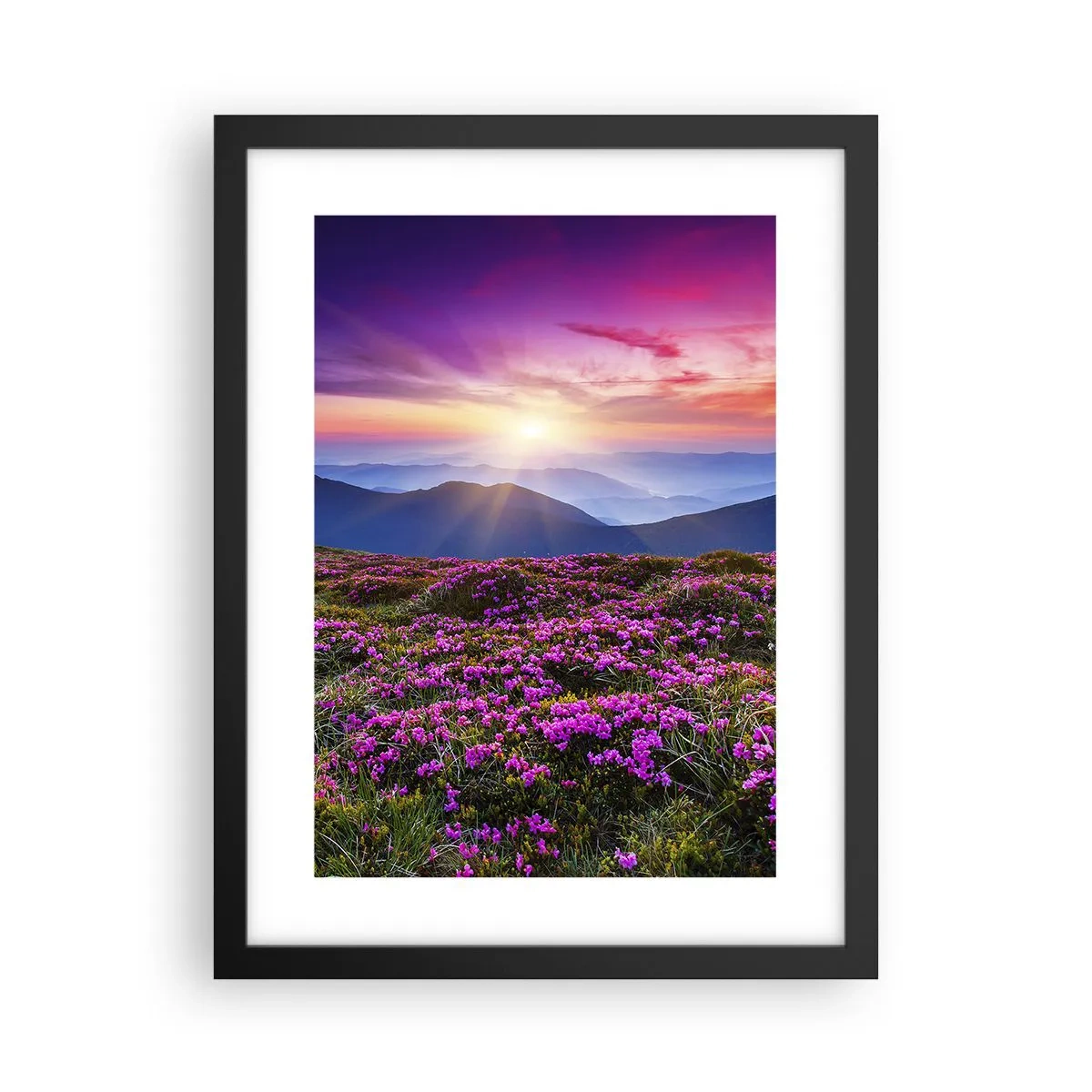 Poster in black frame - Smells Strongly of Herbs - 30x40 cm