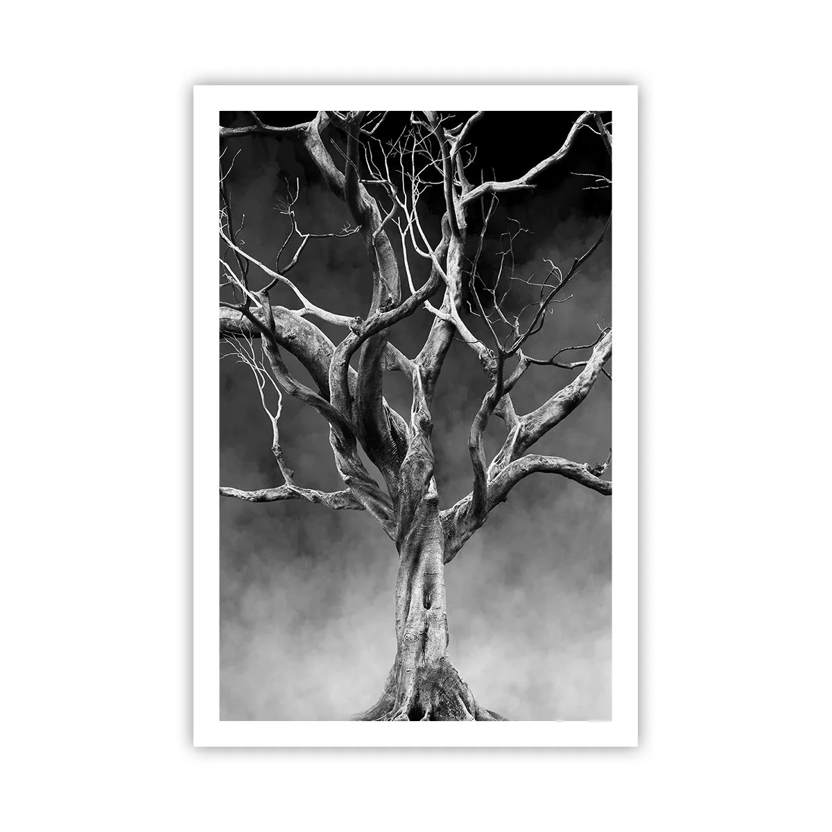 Poster - Primordial and Sacred - 61x91 cm