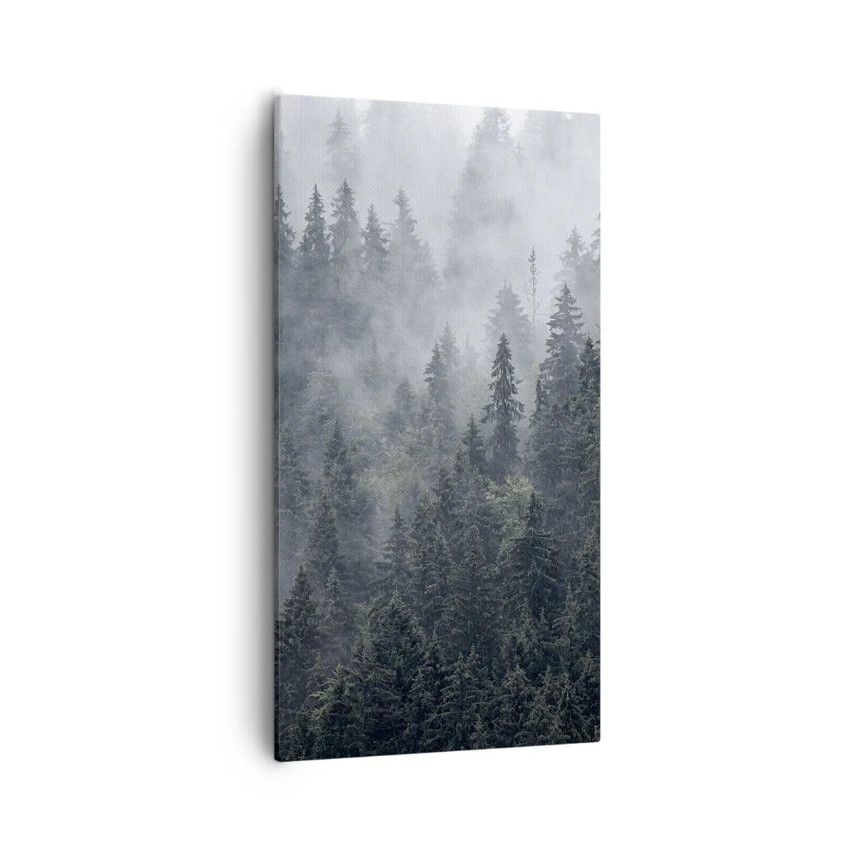 Canvas picture - Forest World - 55x100 cm