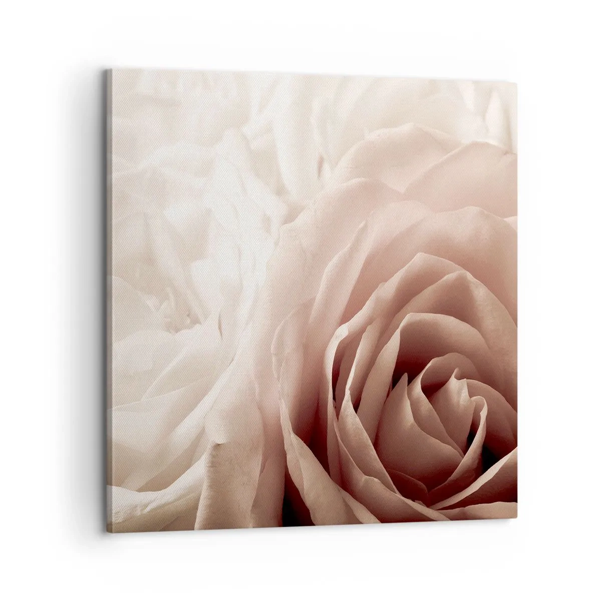 Canvas picture - In the Heart of a Rose - 60x60 cm