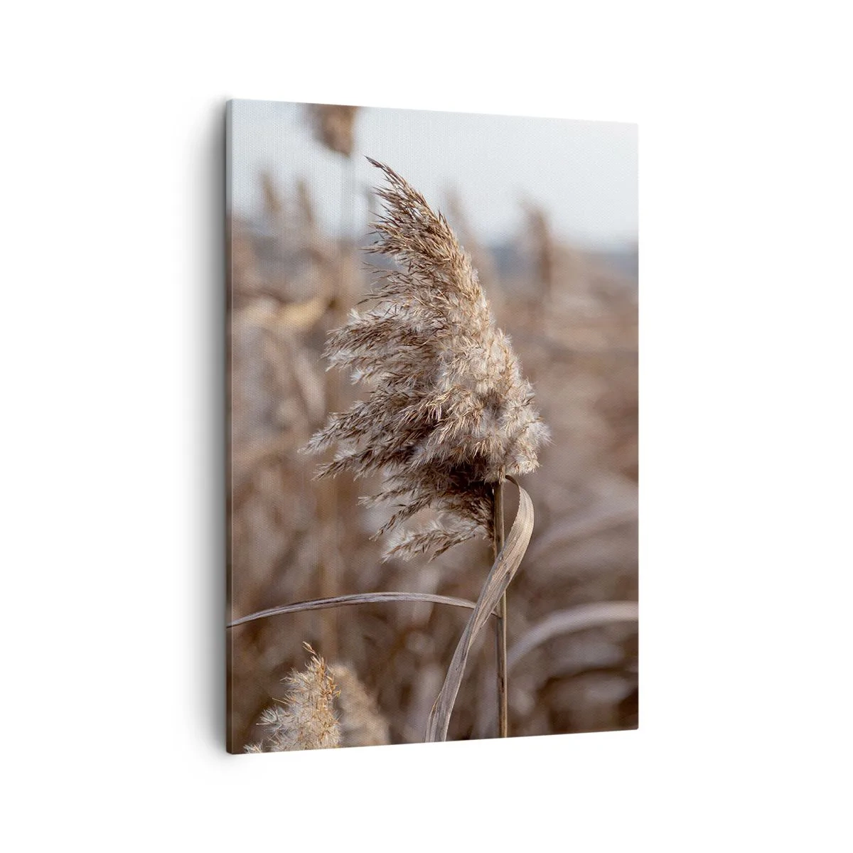 Canvas picture - Time to Fly with the Wind - 50x70 cm