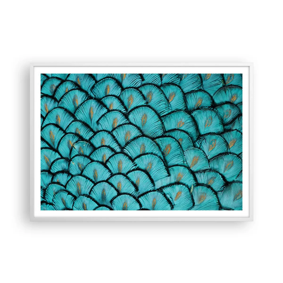 Poster in white frmae - Great Feather Gala - 100x70 cm