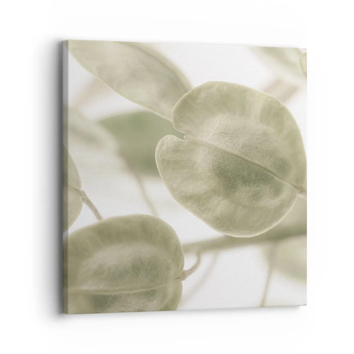 Canvas picture - In the Beginning There Were Leaves… - 30x30 cm