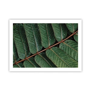 Poster - In Green Rhythm - 70x50 cm