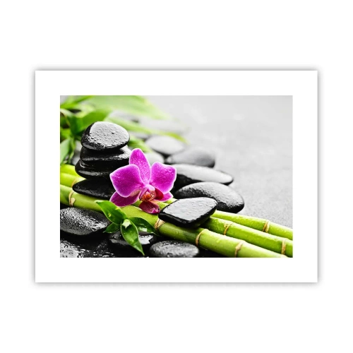 Poster - In a Peaceful Balance - 40x30 cm