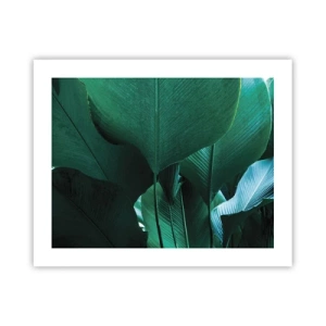 Poster - Turned towards Light - 50x40 cm