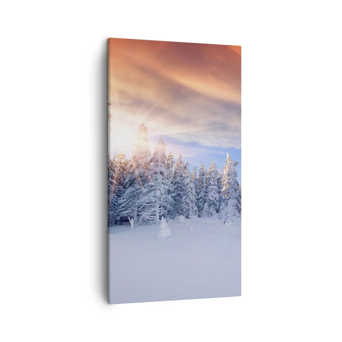 Canvas picture - Snowy Spectacle of Nature - 45x80 cm