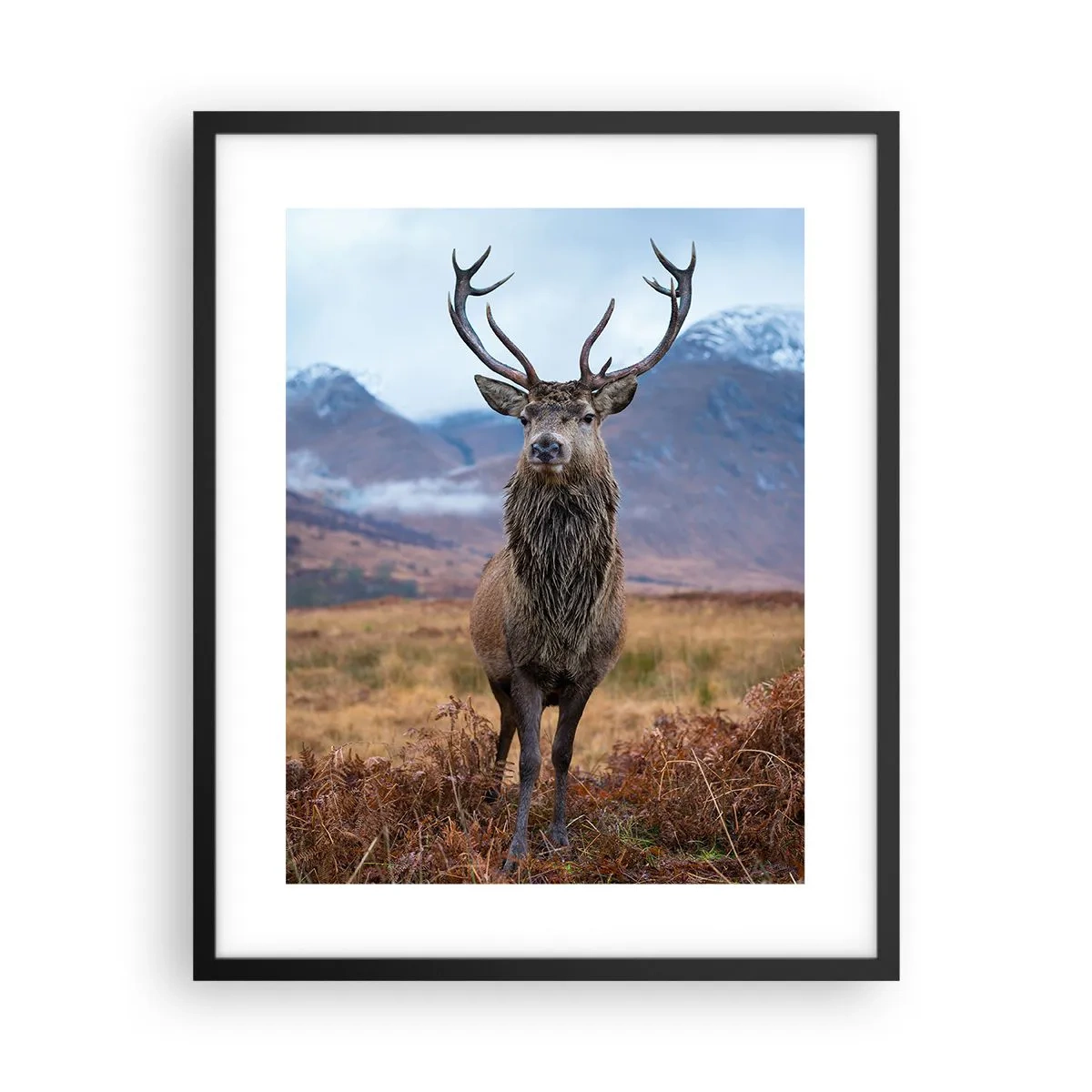 Poster in black frame - On Your Own Land - 40x50 cm