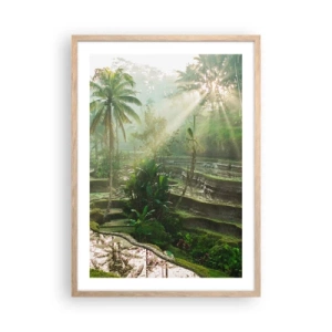 Poster in light oak frame - Maturing in the Sun - 50x70 cm