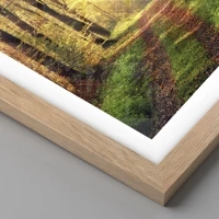 Light Oak
