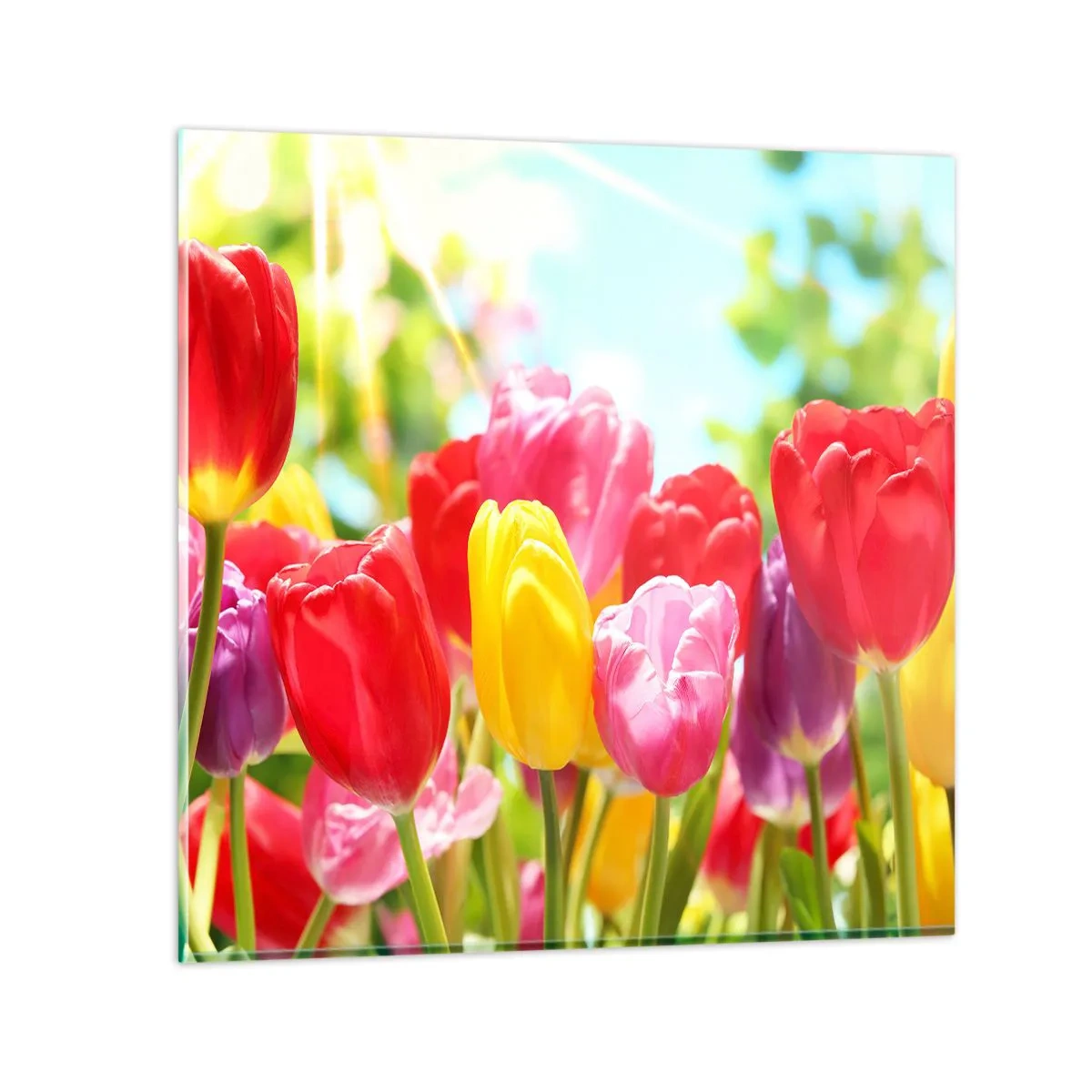 Glass picture - It is Us, Colour of May! - 30x30 cm