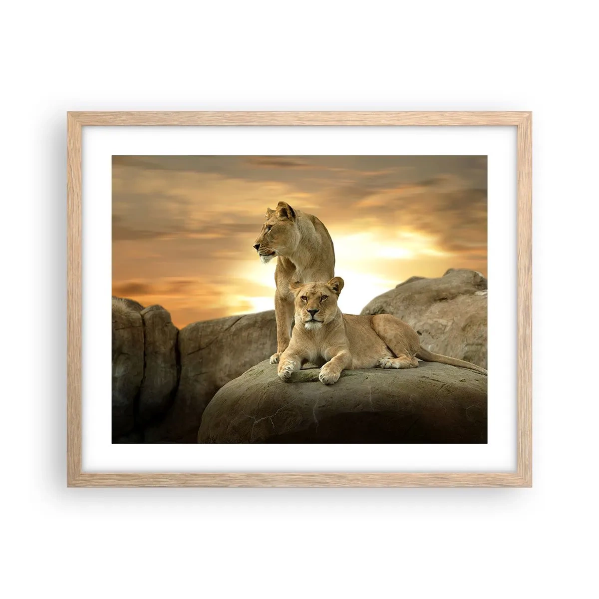 Poster in light oak frame - Royal Majesty - 50x40 cm