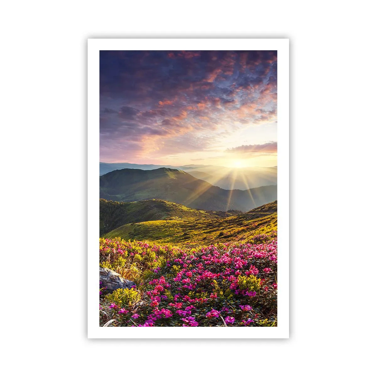 Poster - Freshness of Mountain Morning - 61x91 cm