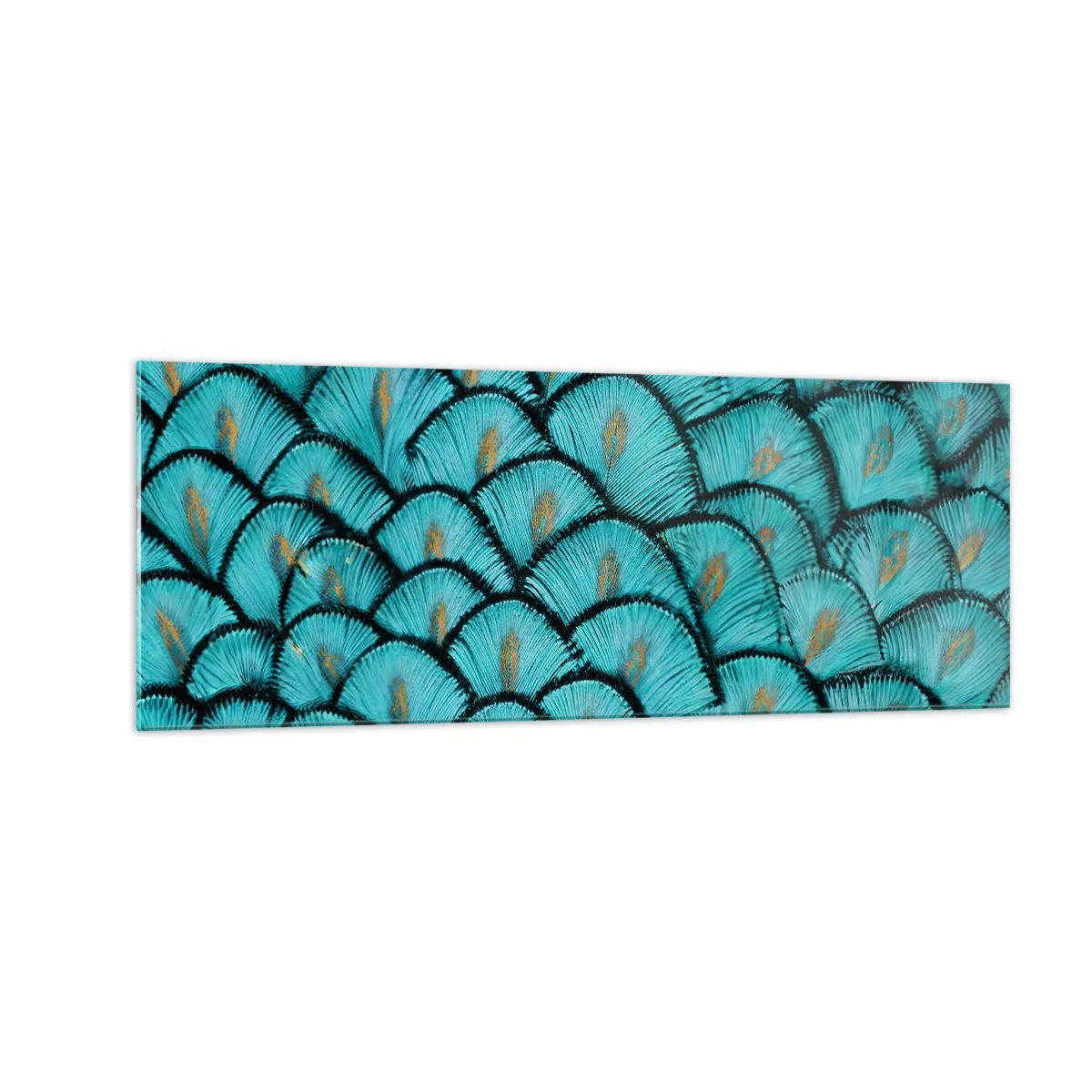 Glass picture - Great Feather Gala - 140x50 cm