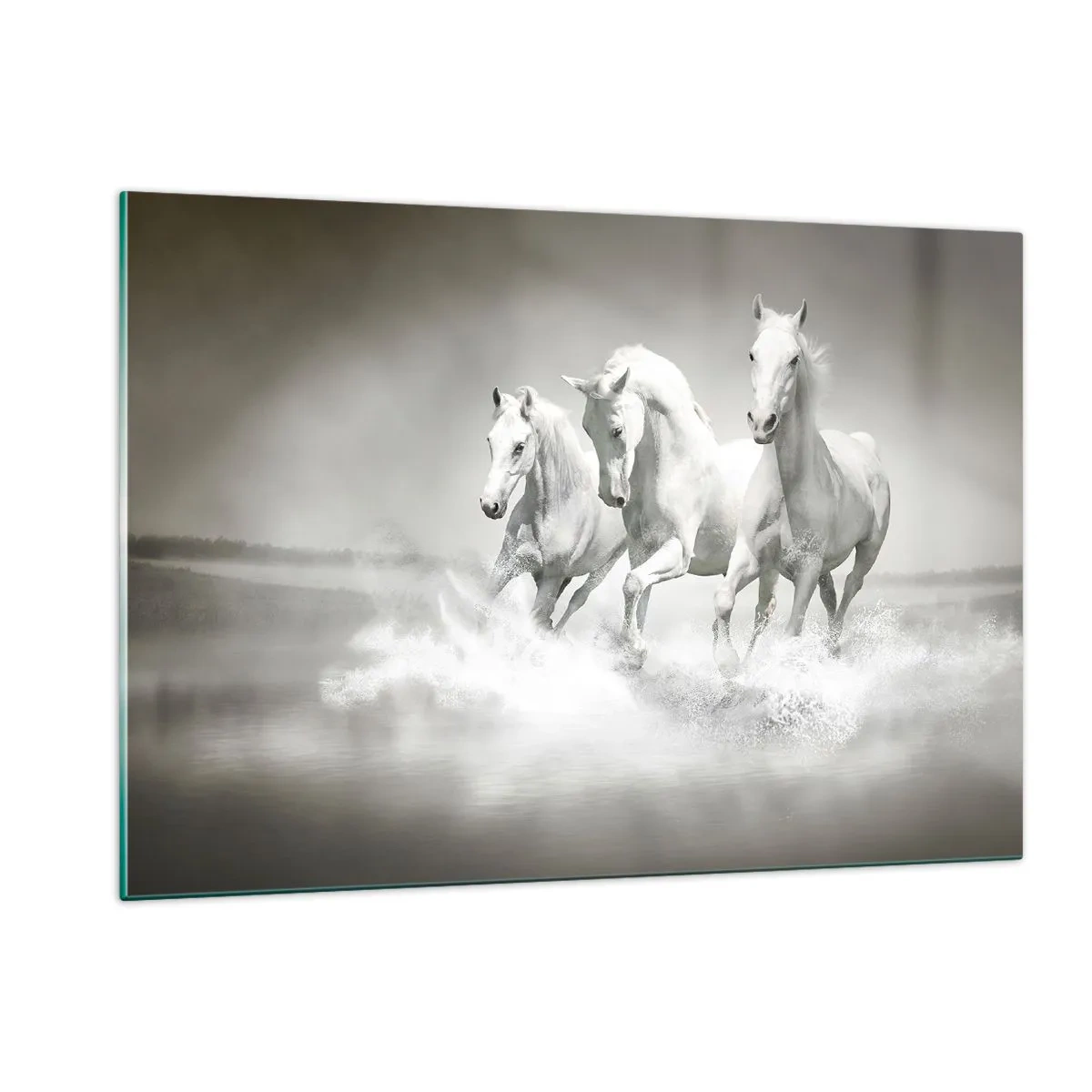 Glass picture - White Madness - 120x80 cm