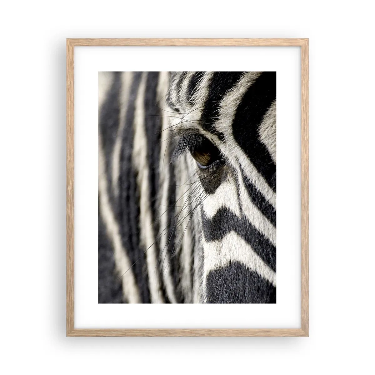 Poster in light oak frame - Striped Portrait - 40x50 cm