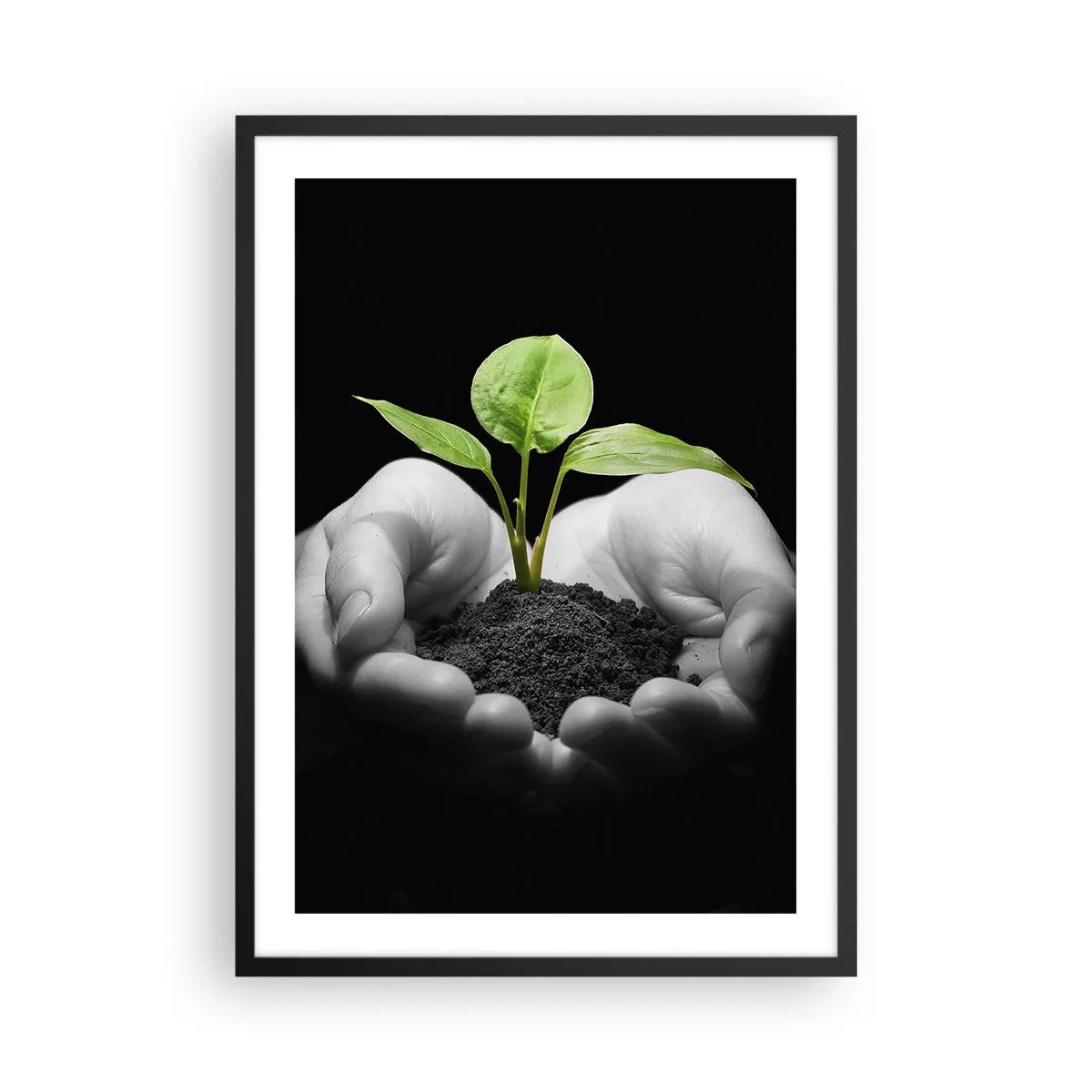 Poster in black frame - A plant in the hands symbolizing life and nature - 50x70cm - I Love Nature, I Protect It - Modern wall decoration for the living room and bedroom ARTTOR