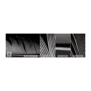 Photo Wallpaper Sample Premium Sand - Feather - Wonderful Constract - Pen, Minimalism, Lightness - 100x30 cm