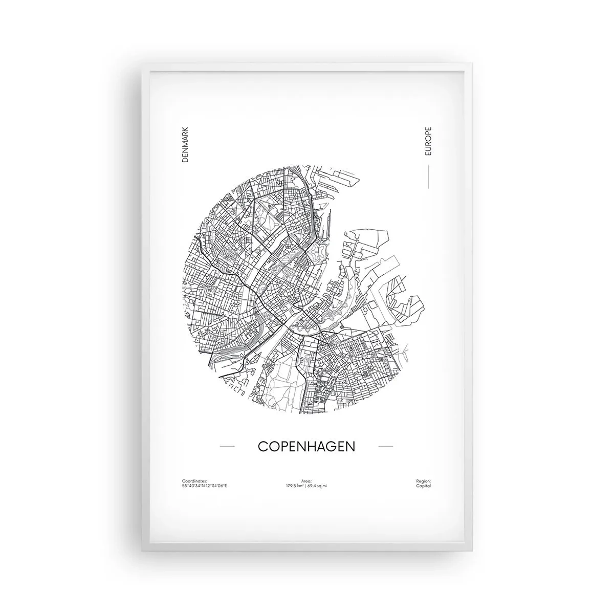 Poster in white frmae - Anatomy of Copenhagen - 61x91 cm