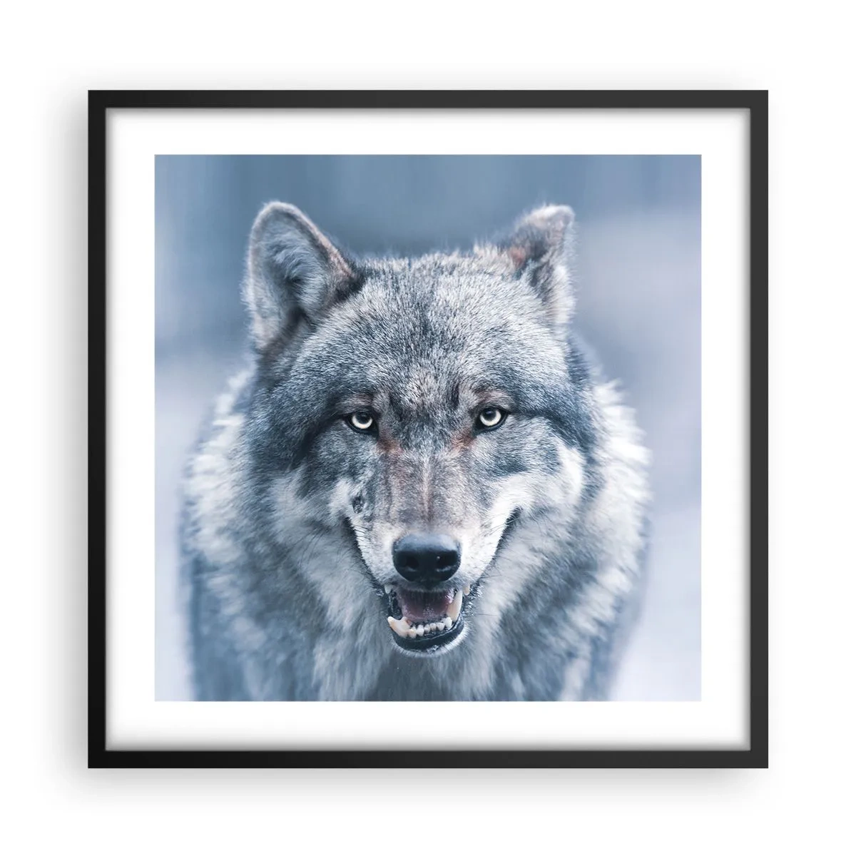 Poster in black frame - Will You Take Up the Challenge? - 50x50 cm