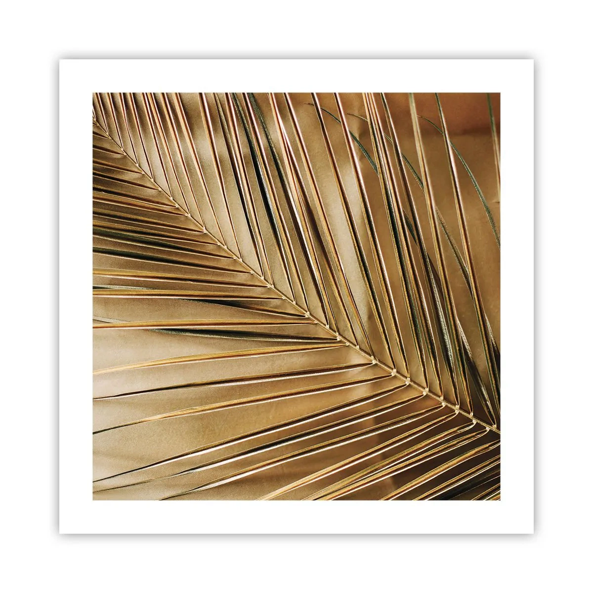 Poster - Natural Colonnade - 50x50 cm