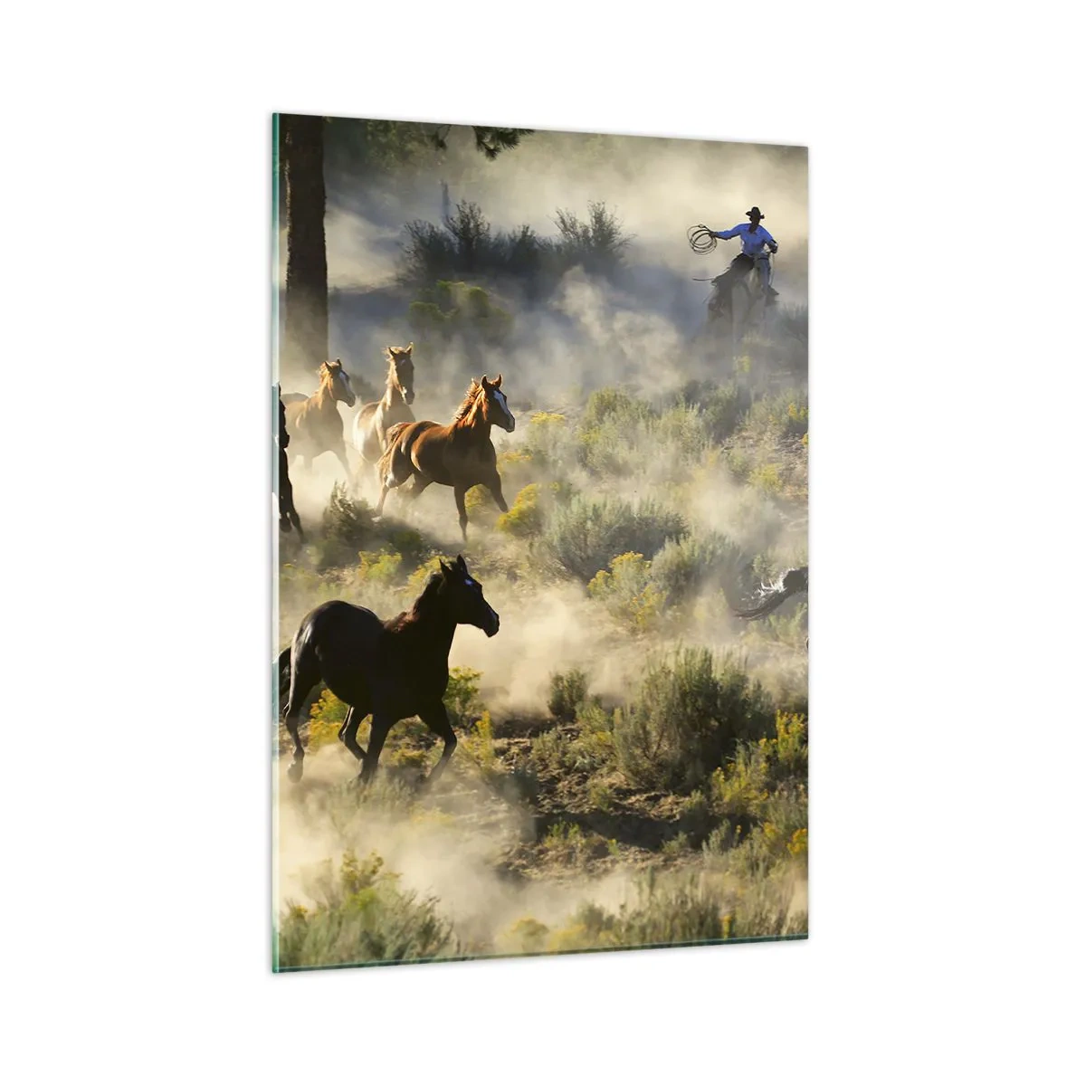 Glass picture - Rivalry - Freedom or Man Power? - 50x70 cm