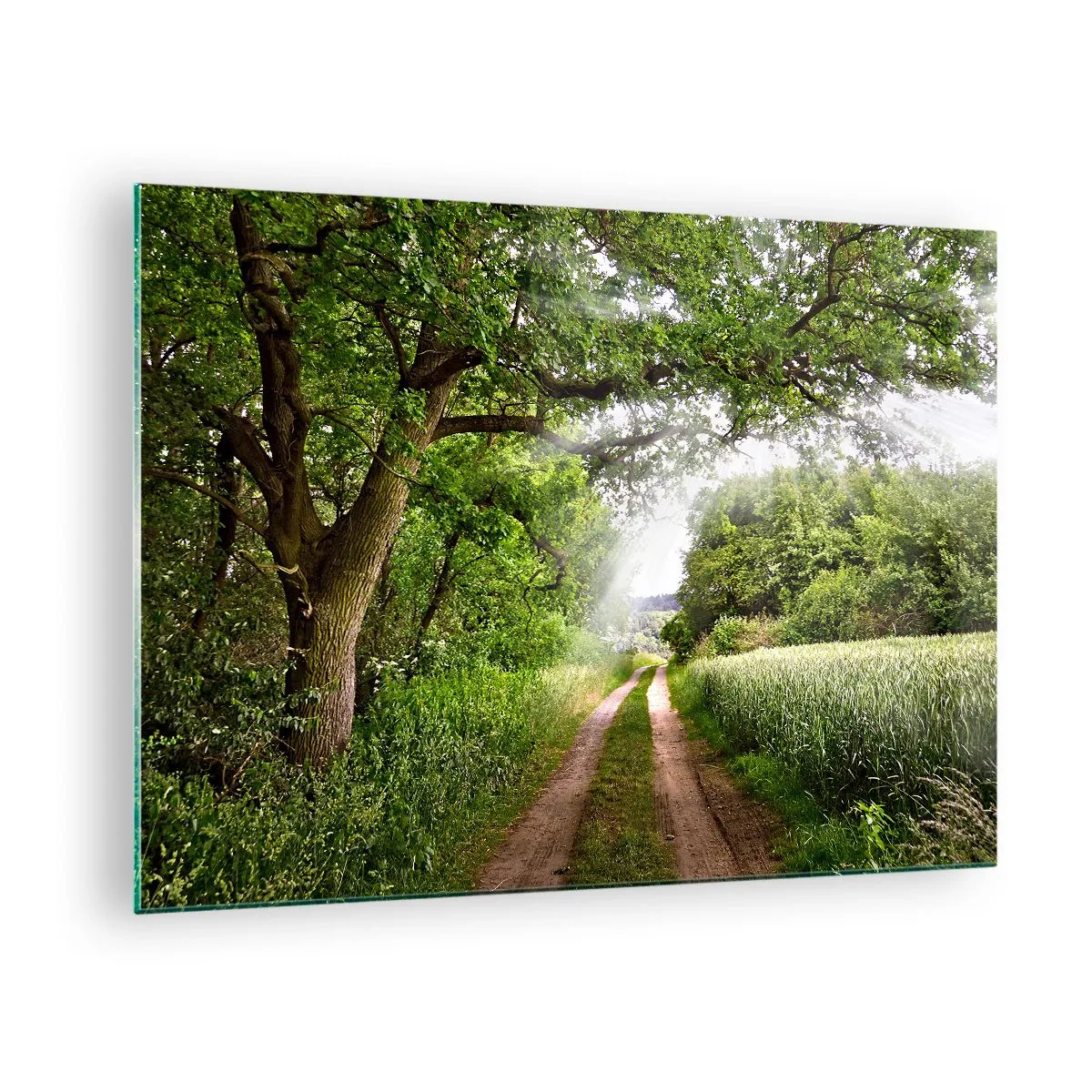 Glass picture - A forest road surrounded by greenery in the rays of the sun - 70x50cm - Et in Arcadia Ego - Modern wall decoration for the living room and bedroom ARTTOR