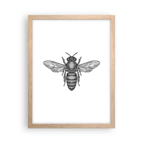 Poster in light oak frame - Insect Portrait - 30x40 cm