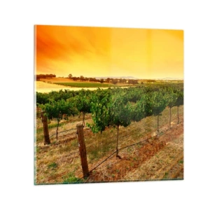 Glass picture - Drink up the Sun - 60x60 cm