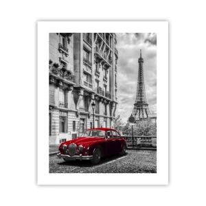 Poster - Predator in the City - 40x50 cm