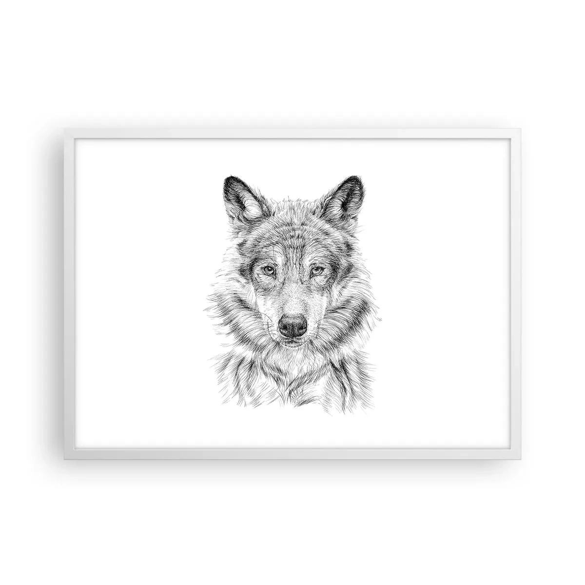 Poster in white frmae - Born Leader - 70x50 cm