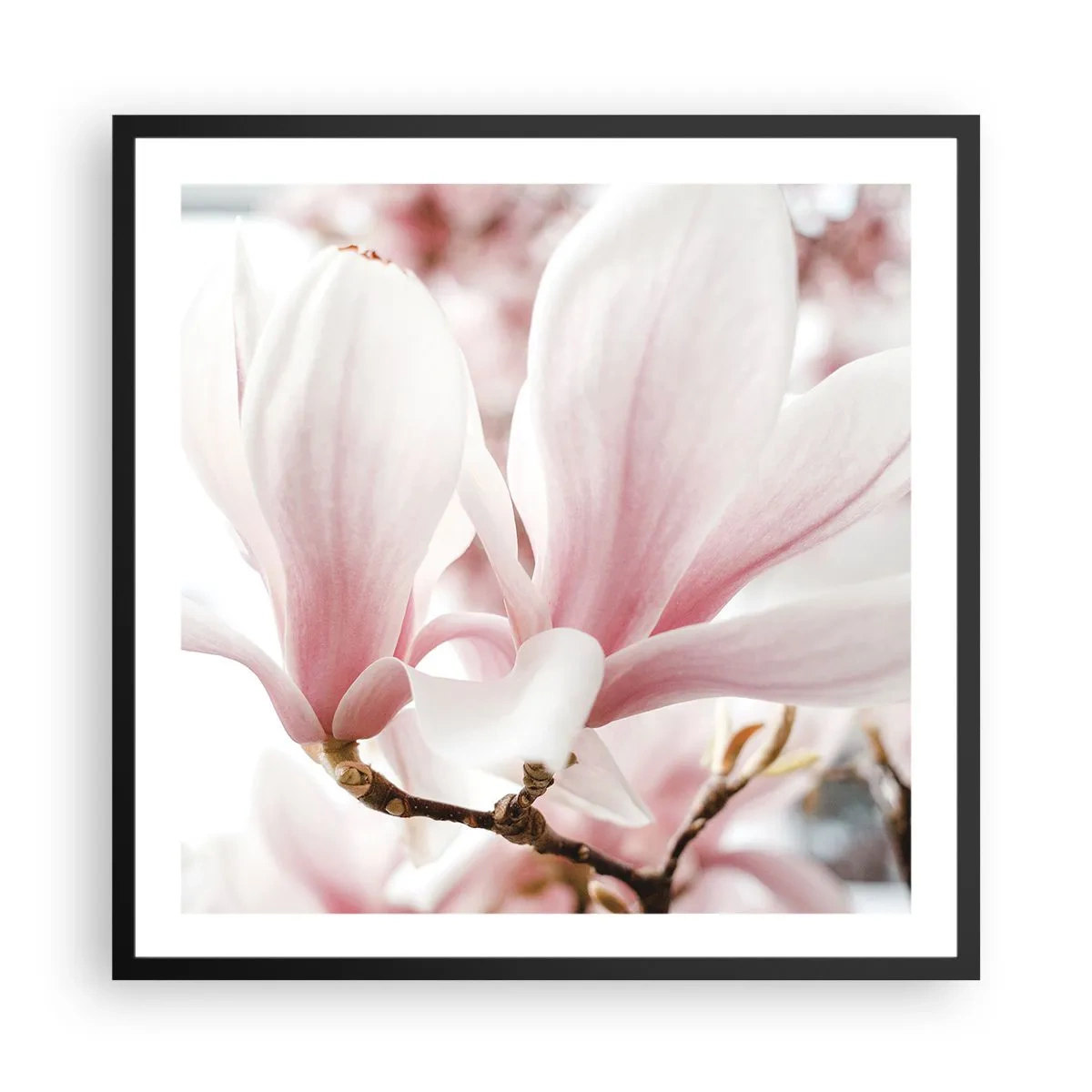 Poster in black frame - Immensity of Tenderness - 60x60 cm