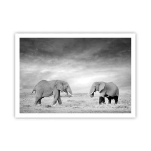 Poster - Grey Is Beautiful - 100x70 cm
