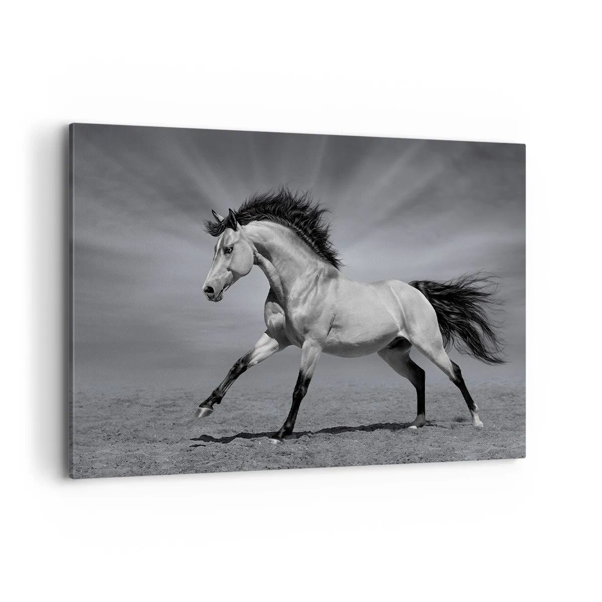 Canvas picture - Born to Amaze - 100x70 cm