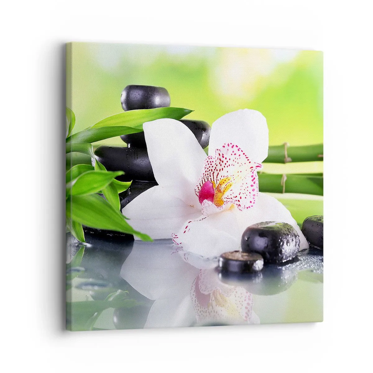 Canvas picture - Cool Freshness - 30x30 cm