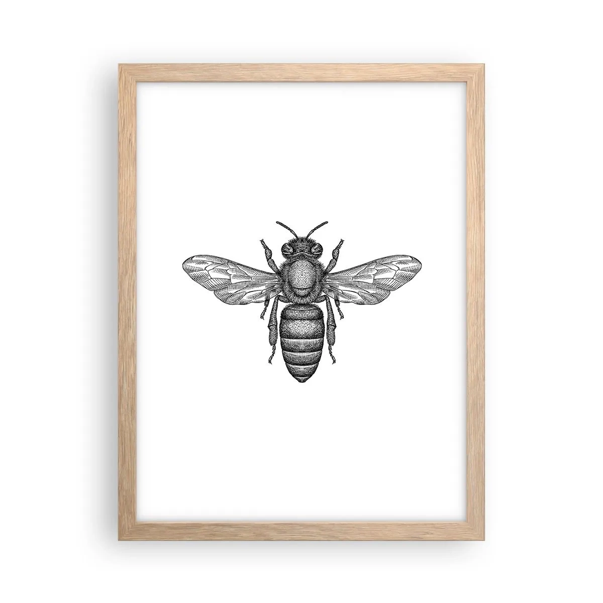 Poster in light oak frame - Insect Portrait - 30x40 cm