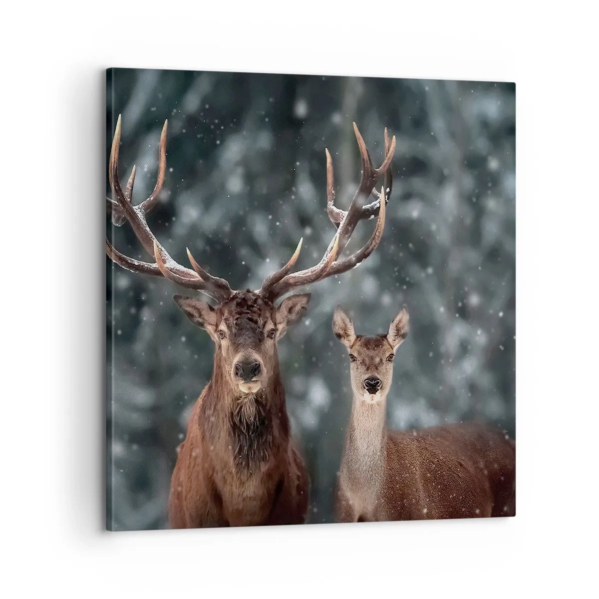 Canvas picture - Master of the Forest with His Wife - 60x60 cm