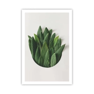 Poster - Untamed Curiosity - 61x91 cm