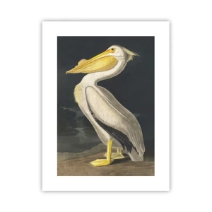 Poster - Full of Pride - 30x40 cm