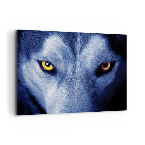 Canvas picture - Mesmerising Look - 120x80 cm