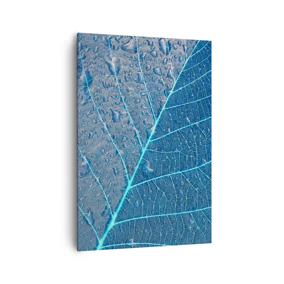 Canvas picture - Life in the Blue - 70x100 cm
