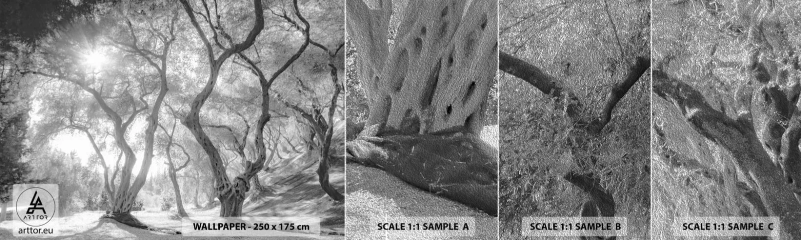 Photo Wallpaper Sample Premium Sand - In an Olive Grove - Forest, Winter, Trees - 100x30 cm